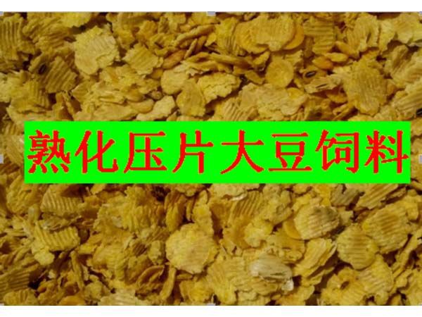 熟化壓片大豆飼料